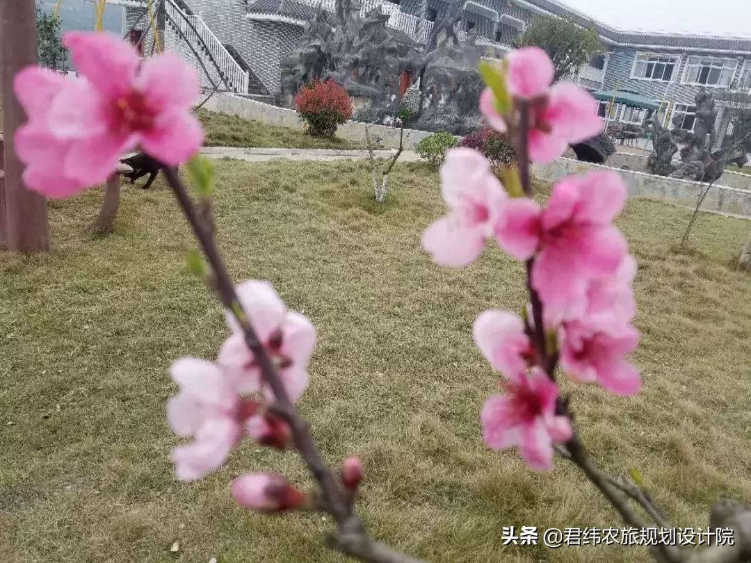 重庆小众避暑农家乐推荐,重庆南山高级农家乐排行榜前十名