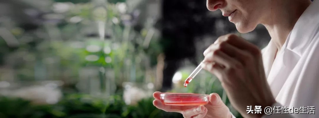 国外旅游必买的护肤品,去德国不能带什么东西