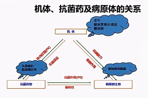 抗生素的作用和药理效应,抗生素的功效和副作用大吗