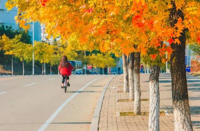 高校网红食堂盘点,河北一高校网红食堂