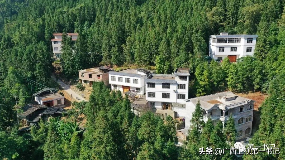 璐靛窞闈犲北鍚冨北鏈夋柊鍚冩硶,骞胯タ璐哄窞灞遍噷楗