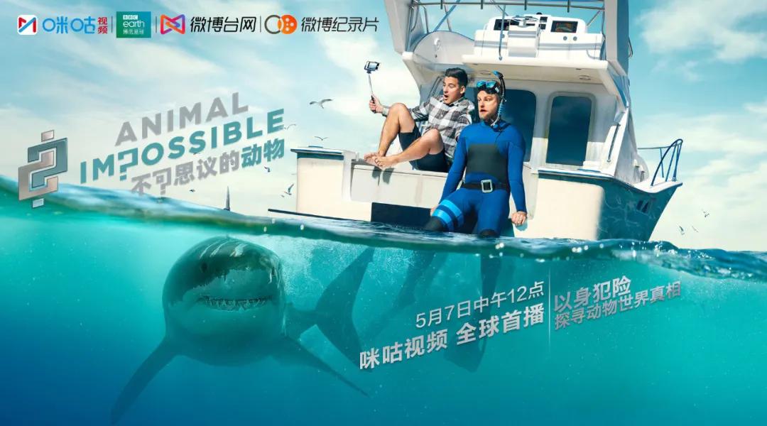 被“青春伤痛文学”冤枉了十几年，金鱼：我的记忆真的不止7秒