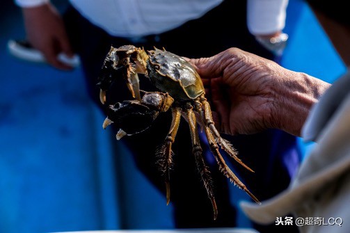 畅游苏州套票,畅游苏州