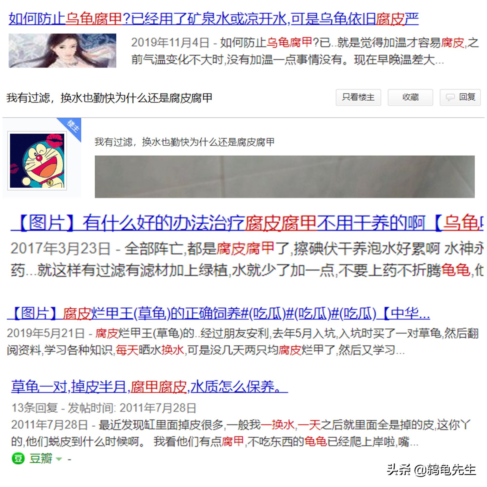 乌龟腐皮腐甲是真菌感染吗,乌龟有了腐皮腐甲会怕水吗