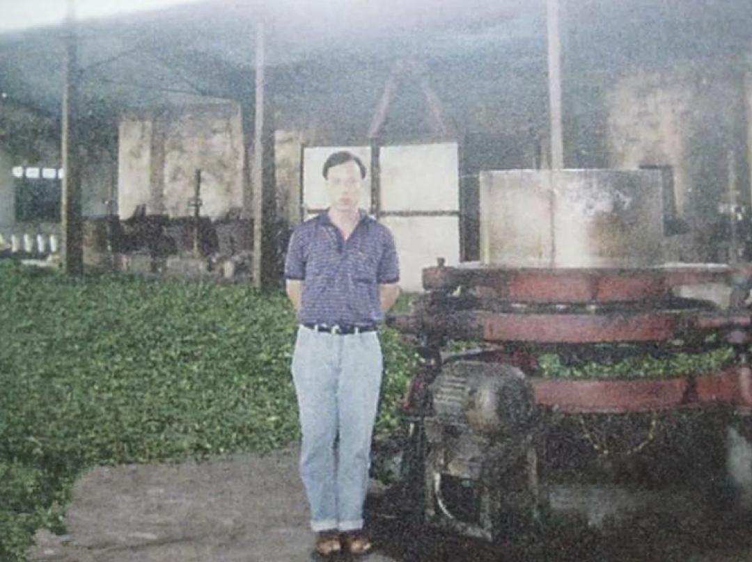 深度解析普洱茶的熟茶简史,探寻正宗普洱熟茶的特点