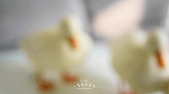 2019宠物排名,2022宠物排行榜