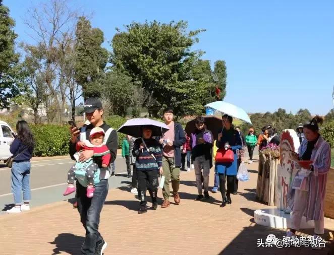 太热闹!弥勒花海、人海、车海、舞海...这些人上镜了!