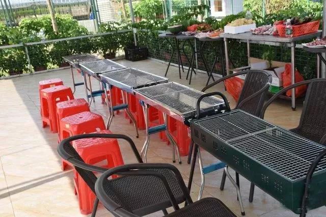 最好的宠物乐园在哪儿,19.9元宠物乐园