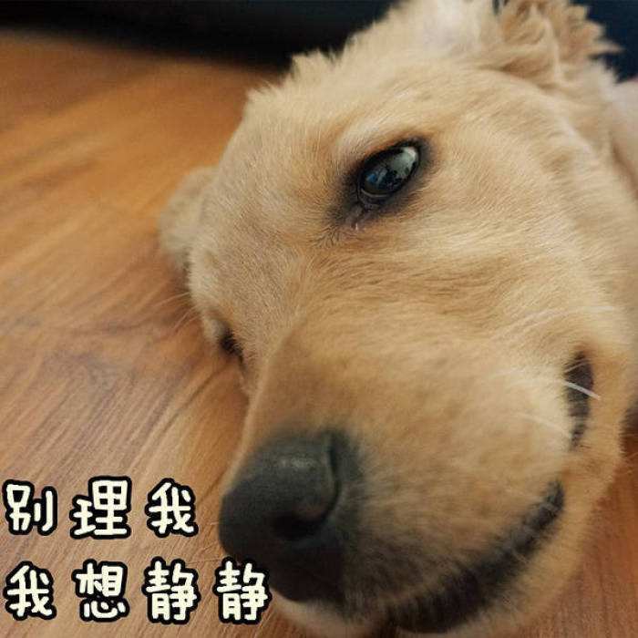 这个大假，你被“代购”刷屏了吗？