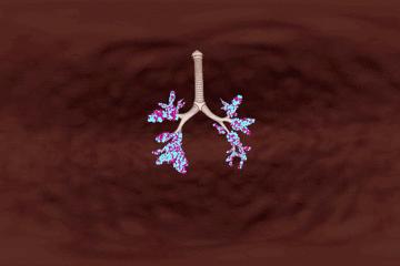 浣犵殑韬綋鍒板簳闀夸粈涔堟牱,浣犵煡閬撲綘鐨勮韩浣撻暱鍟ユ牱瀛愬悧