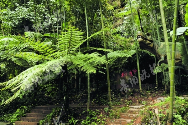 在戈壁探寻恐龙足迹,去原始森林探巡恐龙足迹