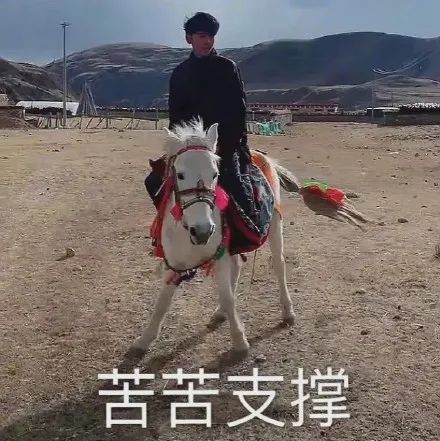 灵魂对话网红圈资深猎头:丁真的职业选择和未来