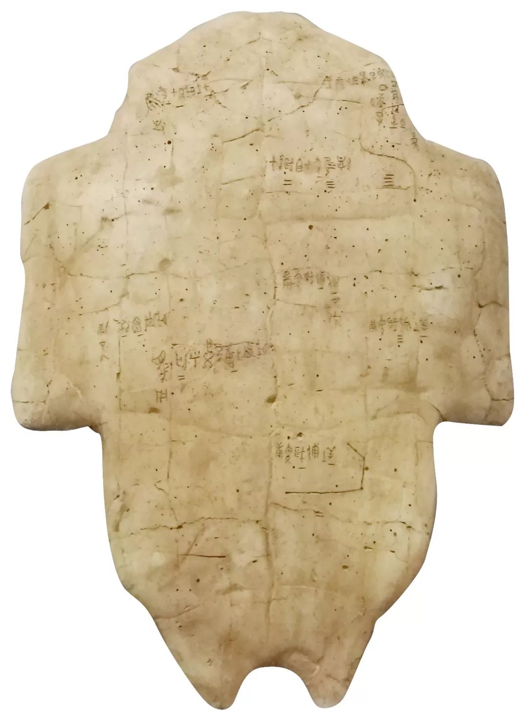 甲骨文书法图片大全,甲骨文书法图片高清