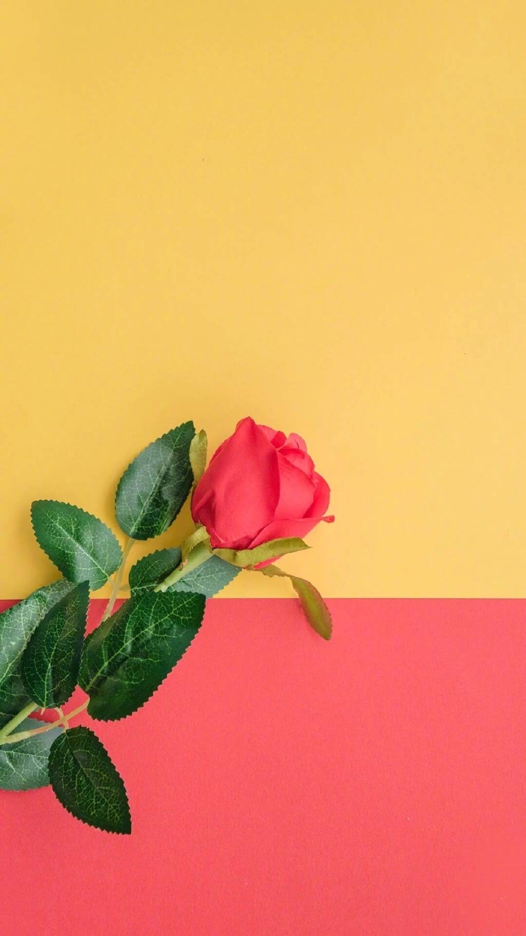 手机高清壁纸原图自取好运,原图壁纸经典手机壁纸分享