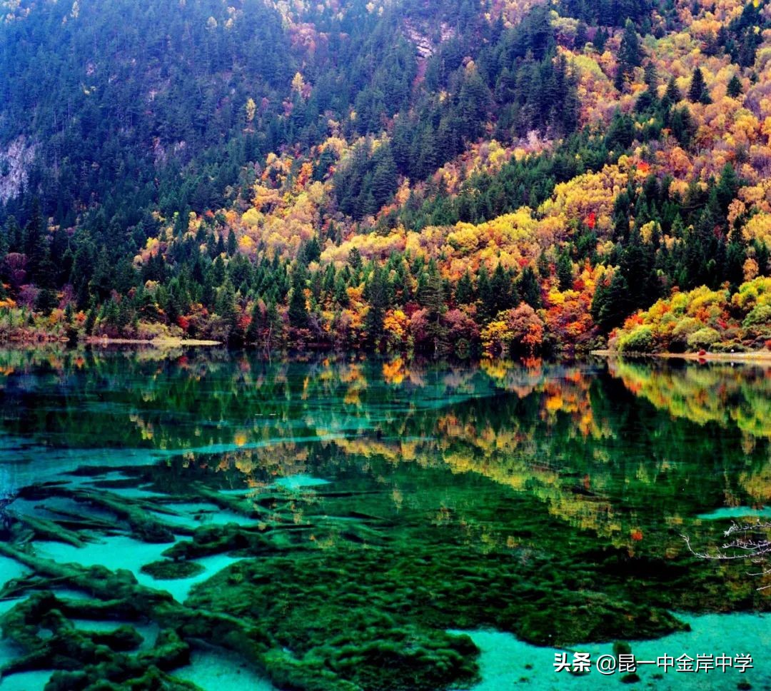 看诗里飞花,感家国情怀