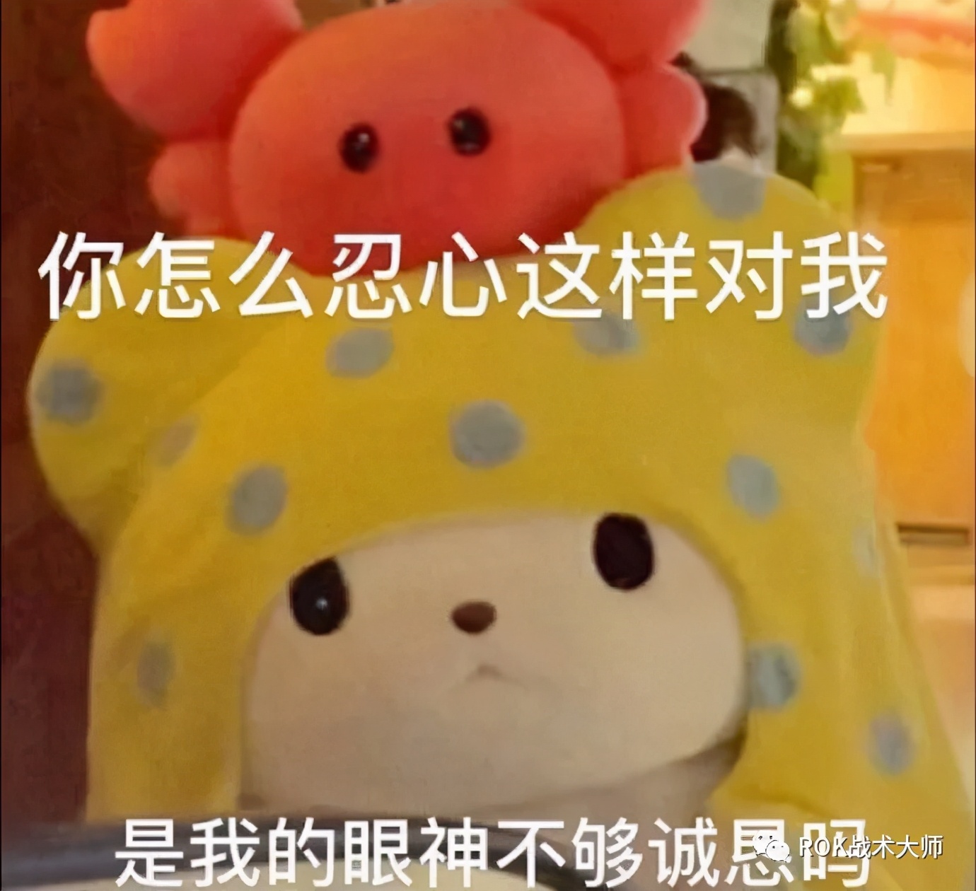 万国觉醒目前最恶心阵容,万国觉醒奥尔良助阵技能推荐