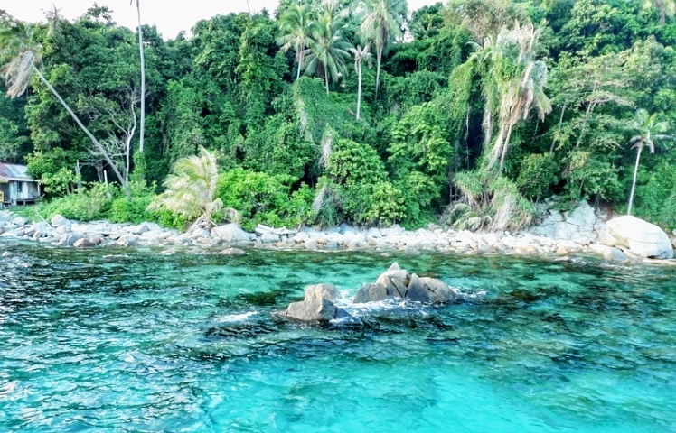 科莫多巨蜥马来西亚,马来西亚一个岛上有巨蜥