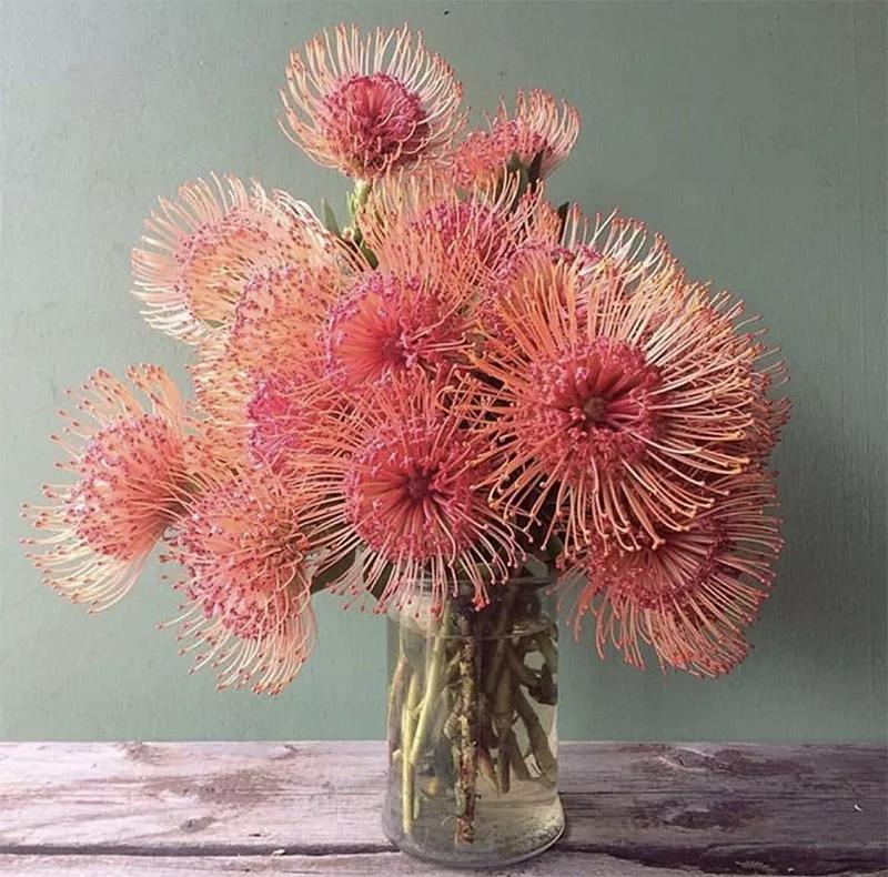 网上买东西怎么交智商税,网上买的智商税产品