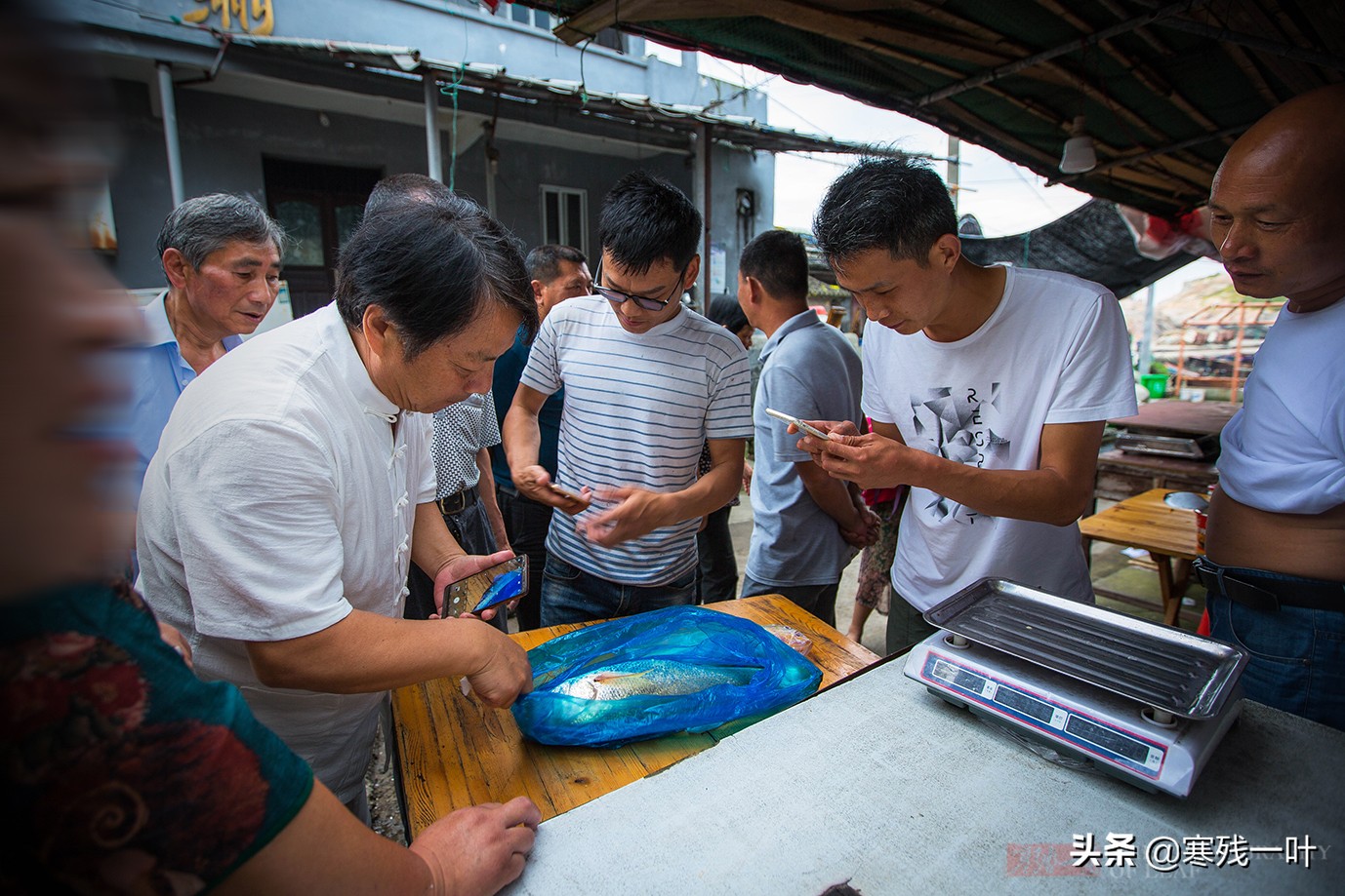 大黄鱼浙江人,浙江鱼民捕获8.7公斤野生大黄鱼