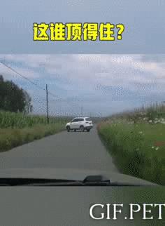 搞笑动图gif笑到肚子疼,搞笑动图gif图片