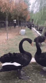 公路车搞笑gif,越野技术搞笑gif