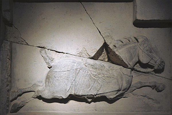 汗血宝马真的出汗流血吗,汗血宝马真的能日行千里吗