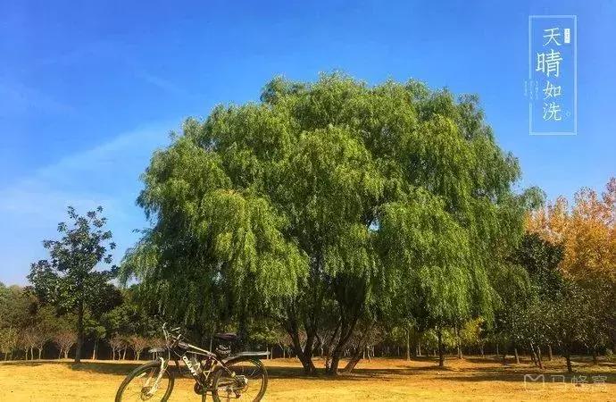 南京人少景美的免费公园,太全了全国旅游简图