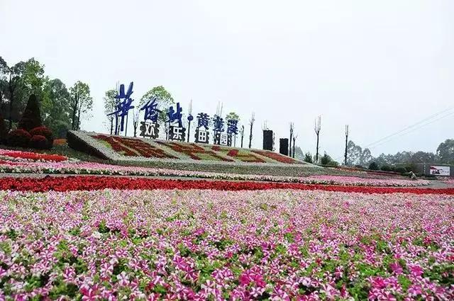双流新修的风景区,双流变化
