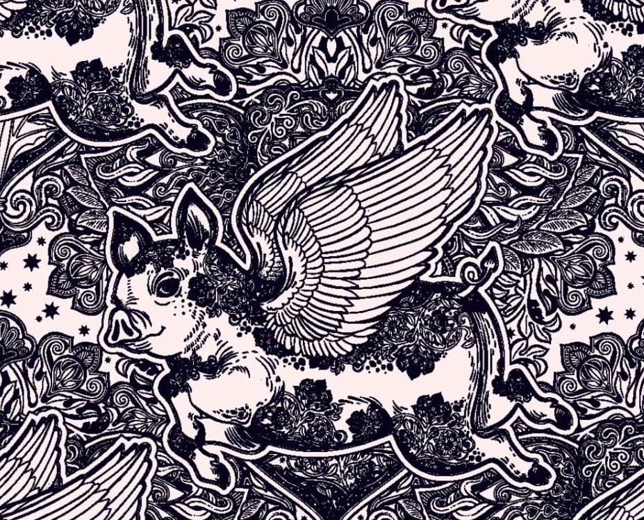 猪不同阶段都需要什么,为什么猪能活到现在