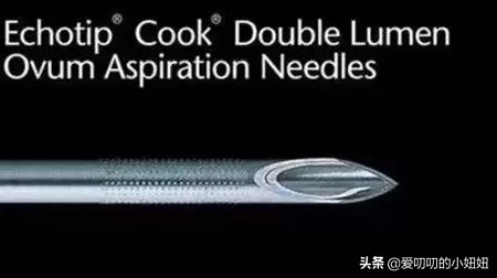 爽妹到底到底是不是坏人,爽妹事件后续怎么处理