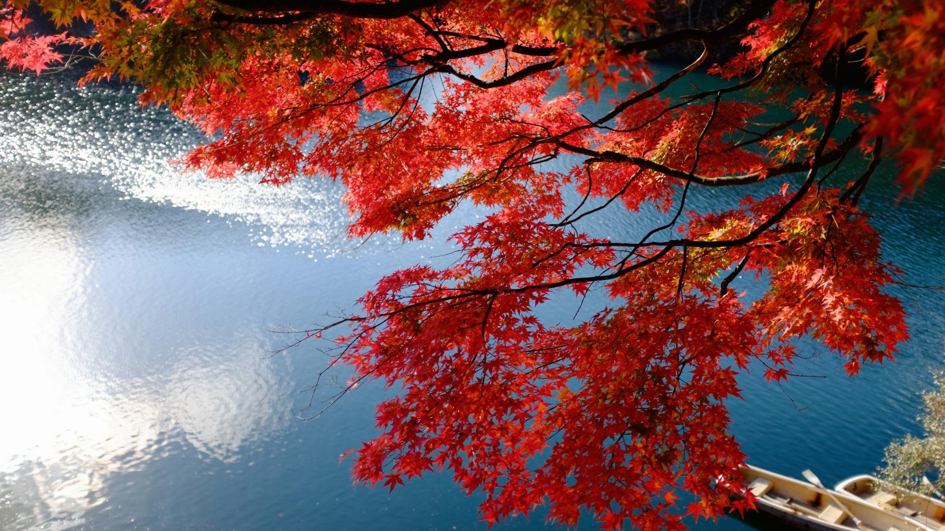 枫醉秋色叶叶红，又“为问东风吹老，几度枫江兰径，千里转平芜”