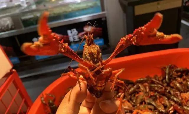 19岁小伙与小龙虾,小伙半夜吃六斤小龙虾结果悲剧了
