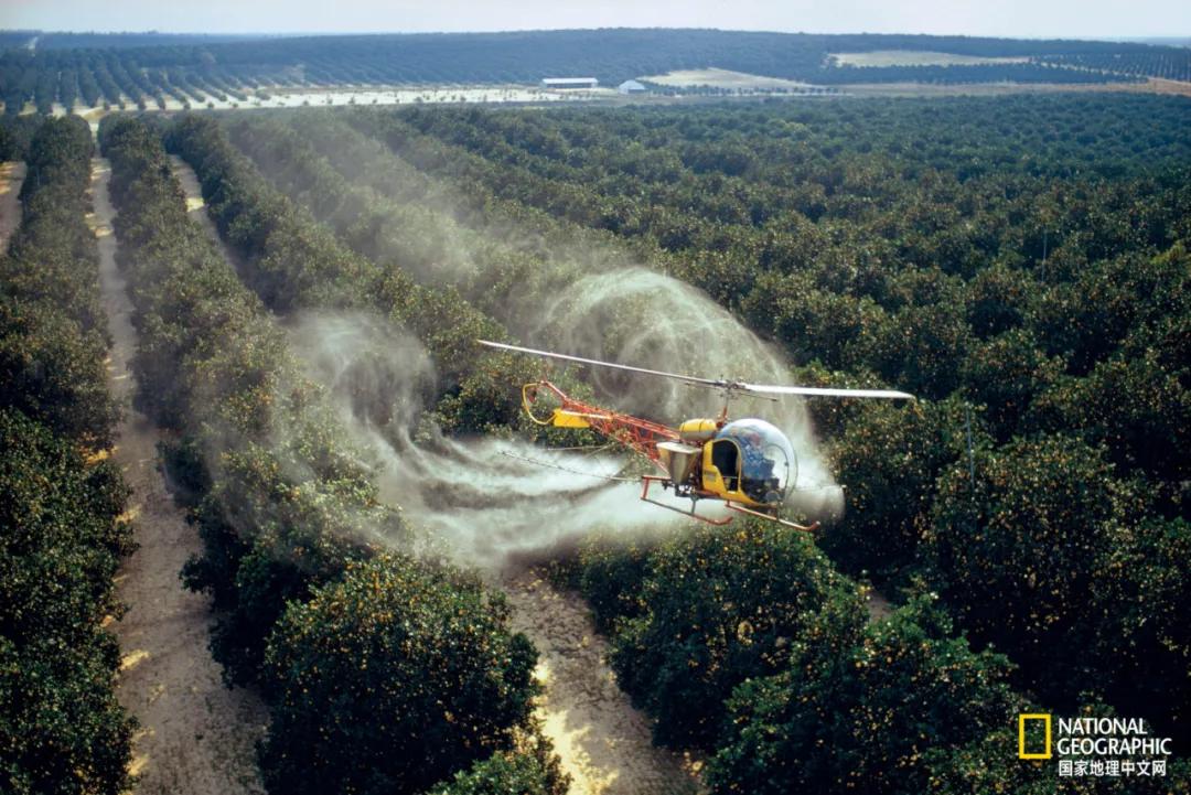 我们的地球很老了吗,地球还能再活几岁