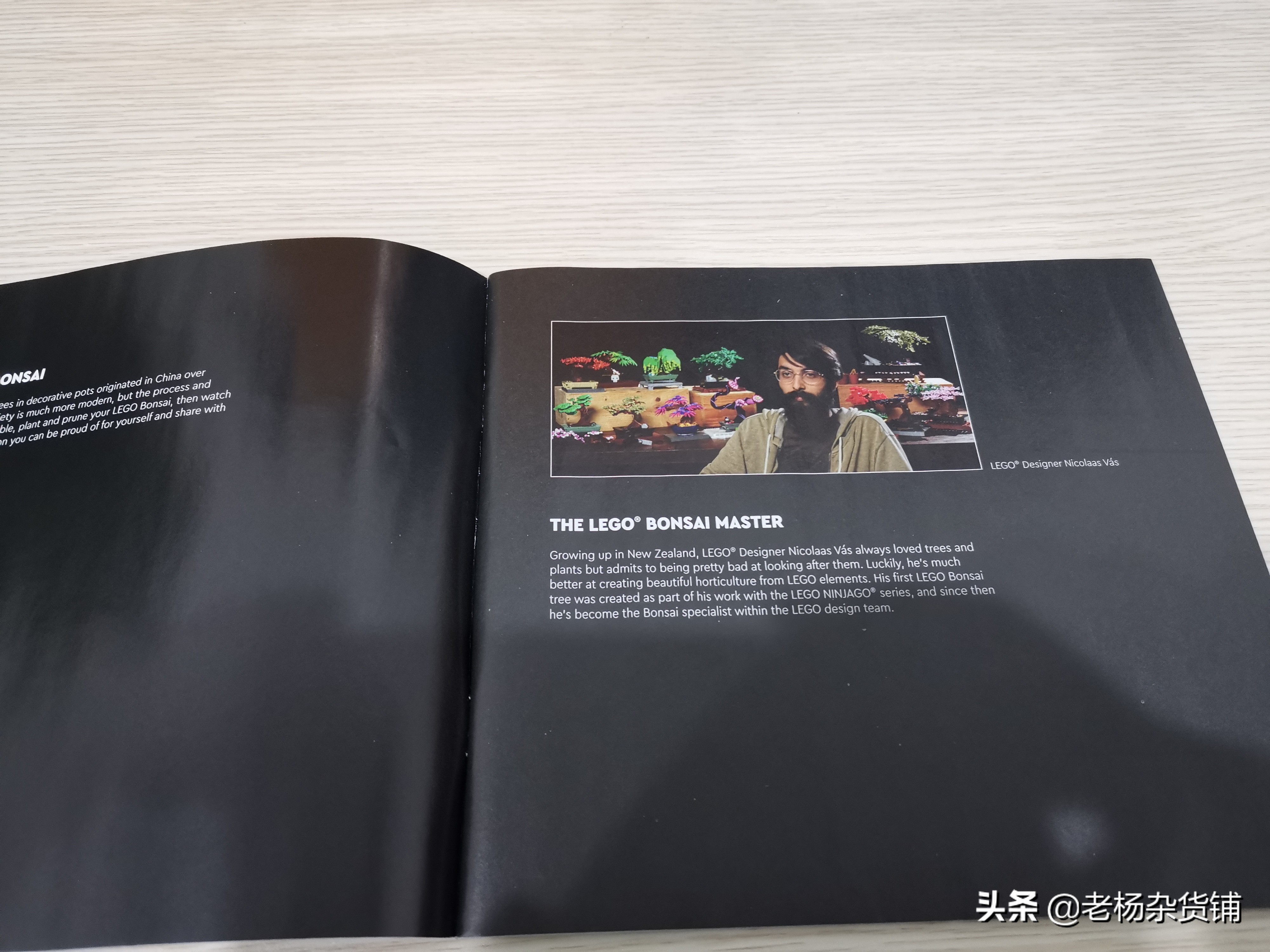 lego花卉艺术,lego乐高植物