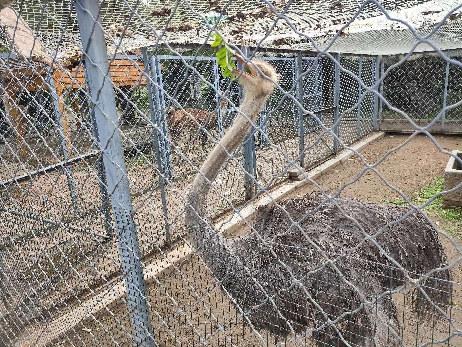 沈阳优待证免费的景点,沈阳70岁以上免费景点