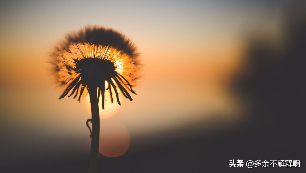 拥有乐观的心态和快乐的心境,乐观的心态对身体健康的好处