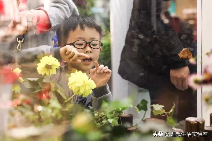 龙湖成都金楠天街,成都龙湖金楠天街哪一期最好