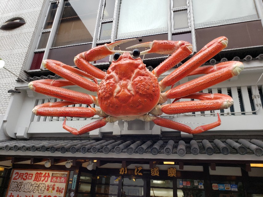 如果你今生只想去一次日本，千万别跟我一样，报这样的旅行团五