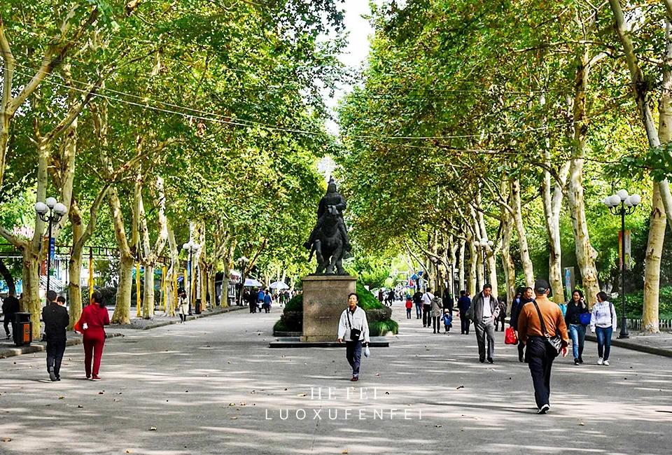 科学家摇篮哈工大,中科大科学家的摇篮