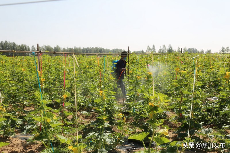 内蒙古达拉特旗恩格贝,内蒙古恩格贝镇