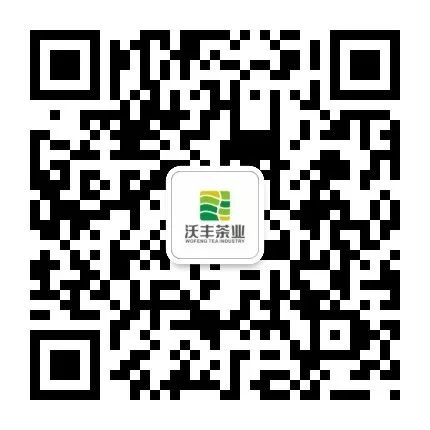 贵州高原干净茶,贵州深山干净茶