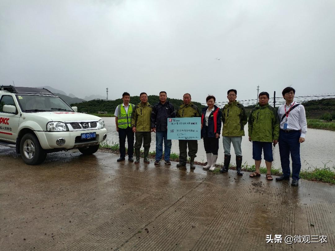 政策性农业保险承保理赔服务方案,农业大灾保险与农业巨灾保险