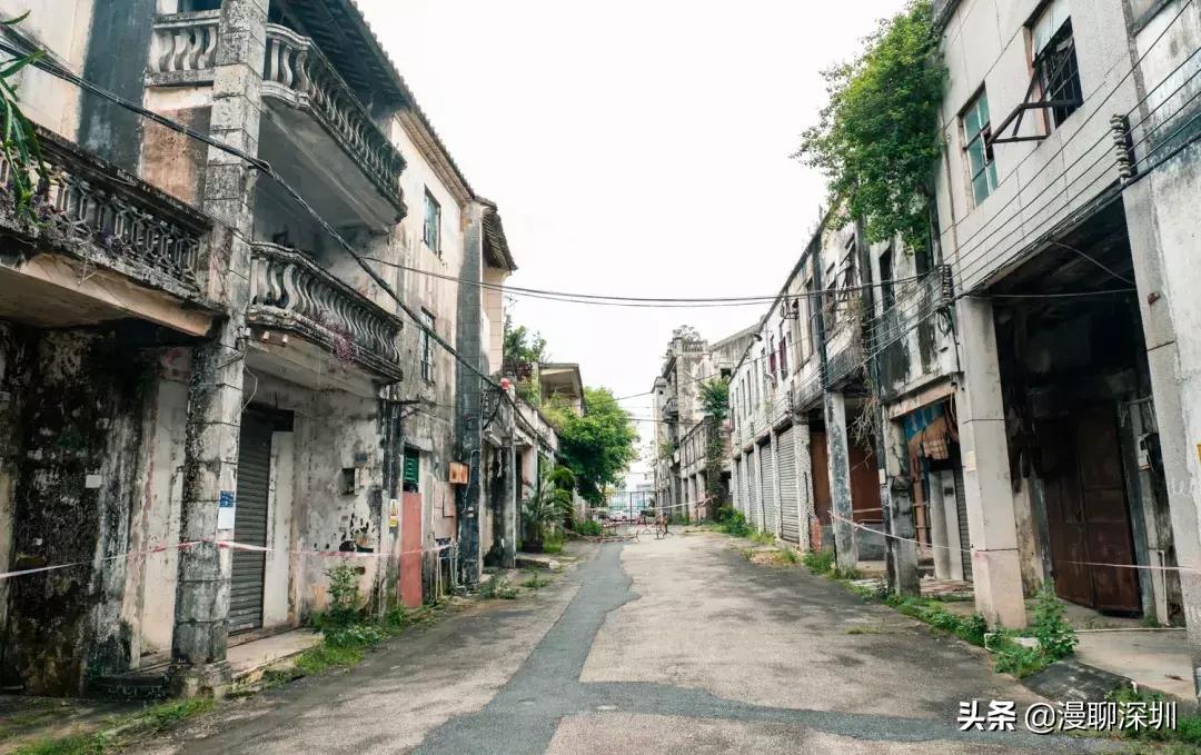 行走深圳歌曲,深圳观澜攻略