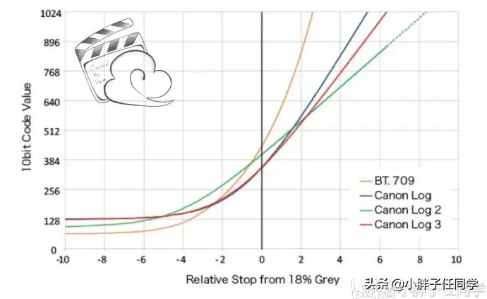 尼康d850拍摄视频用什么镜头,尼康d850配556镜头感受