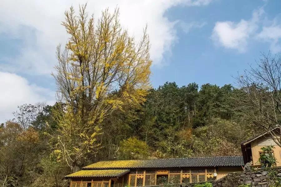 湖北钟祥：中国唯一人口守恒村？生一人死一人，百年未变！