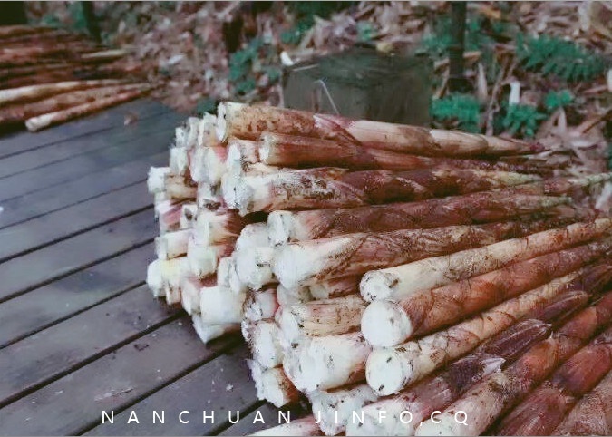 重庆南川特色美食节,南川美食文化节