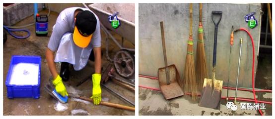 一文了解疫苗最新进展,一文看懂生物抗衰老