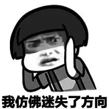 双流空港花田最新进展,双流空港花田开放了吗最新回复