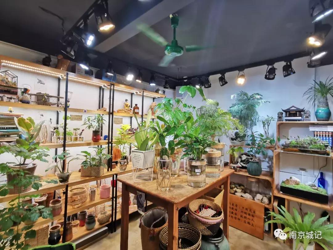 上海老破小弄堂,南京小资打卡圣地