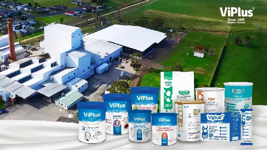 第四届进博会火热举办,第四届进博会展会